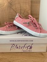 Blowfish canvas Sneaker gr. 37 Sommerschuhe Wuppertal - Ronsdorf Vorschau