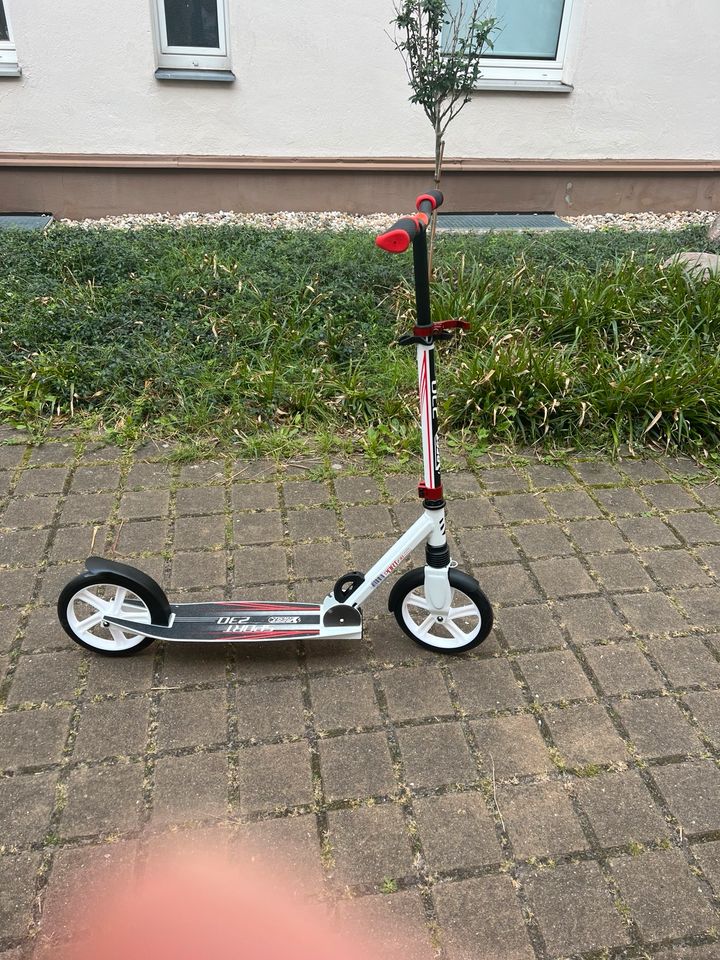 Best Sporting Roller 230 sehr gut neu in Berlin