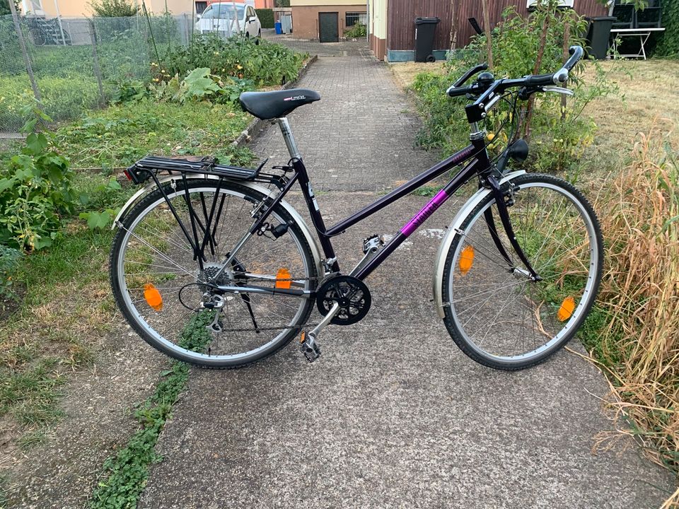 Staiger Arkansas Trekking Fahrrad in Wendlingen am Neckar