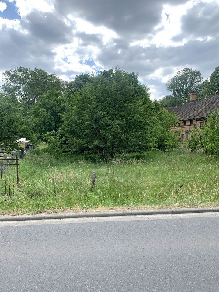 Idyllisches Wohnen mit Stadtnähe: Traumgrundstück in Frauendorf zu verkaufen in Neuhausen/Spree