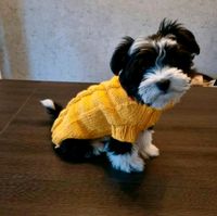 ❤️ Hundepullover RL 30 Hundepulli Malteser Yorkie Chihuahua  ❤️ Nordrhein-Westfalen - Ibbenbüren Vorschau