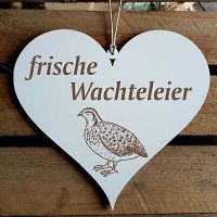 ❤️Wachteleier ❤️ Niedersachsen - Bahrdorf Vorschau