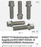 Haskyy Radbolzen Radschrauben M14x1,5 R13 SW17 Länge 51mm Frankfurt am Main - Ostend Vorschau