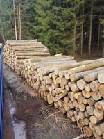 Buche vorgelagert ab 75€ / Srm Brennholz Kaminholz inkl.MwSt Thüringen - Stadtlengsfeld Vorschau