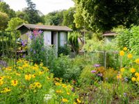 Schrebergarten zu verkaufen Herzogtum Lauenburg - Schwarzenbek Vorschau