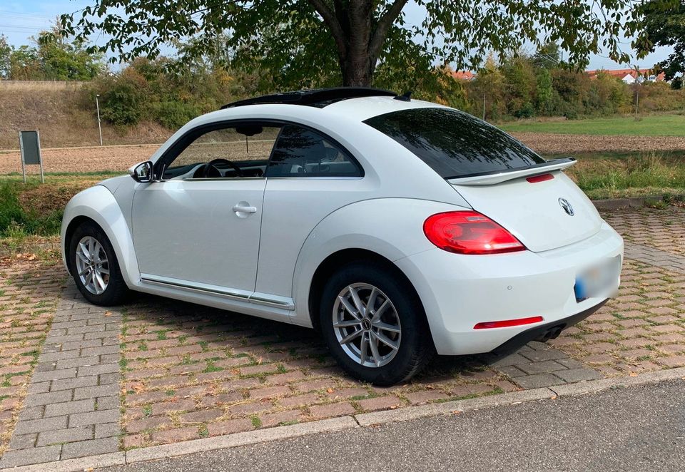 VW Beetle 1,4 TSI ** Leder, Fender Sound, Panorama, BiXenon ** in Baden-Baden