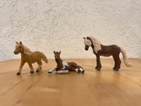 Schleich Pferde Hessen - Fritzlar Vorschau