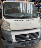 Fiat Ducato Multijet  Kastenwagen 74 KW Diesel  in Einzelteilen Schleswig-Holstein - Harrislee Vorschau