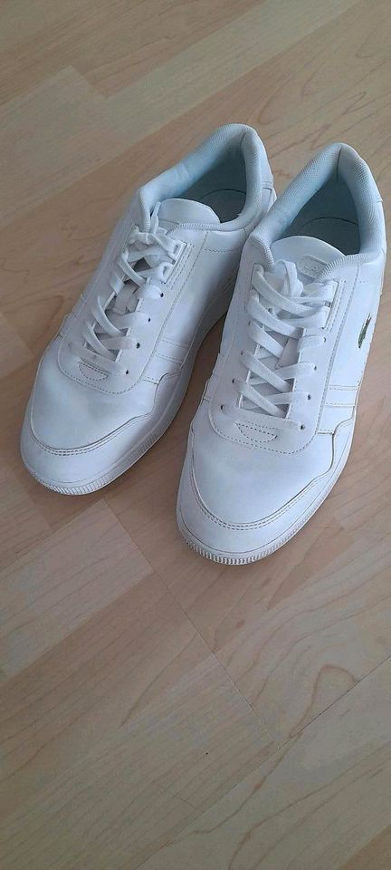 Lacoste Sneaker  unisex in Rietberg