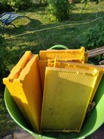 Kunststoffrahmen für Bienen Nordrhein-Westfalen - Versmold Vorschau