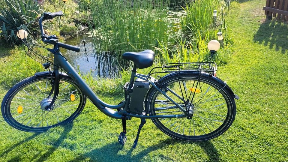 E-Bike Ebike Reparatur Aldi Lidl Fischer Prophete Curtis Rex usw. in  Niedersachsen - Apen | eBay Kleinanzeigen ist jetzt Kleinanzeigen