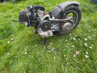 Roller Motor, Piaggio Fly an Bastler Nordrhein-Westfalen - Bottrop Vorschau