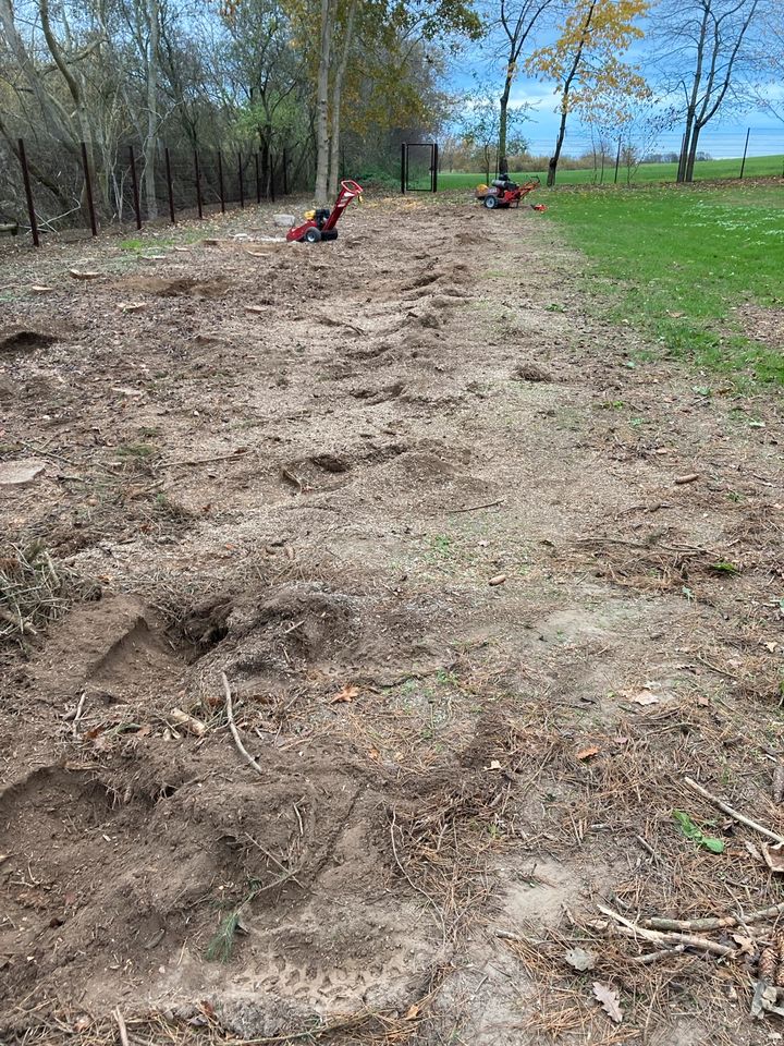 Baumstumpf entfernen,Stubbenfräsen,Wurzeln entfernen,Hecke in Bernburg (Saale)