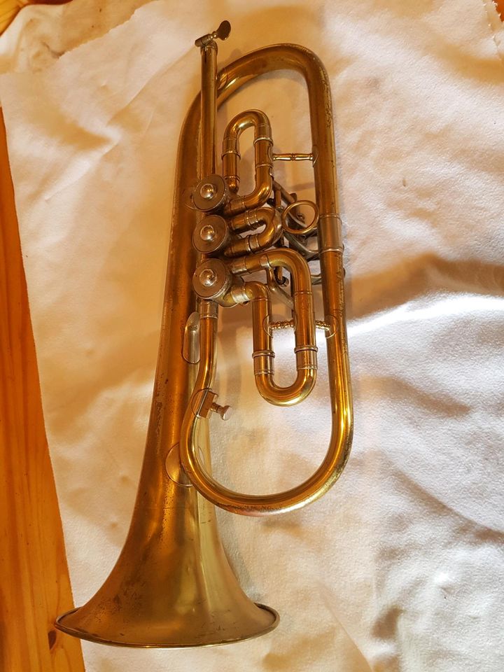 Trompete musikinstrument in Löbnitz