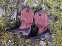 Cowboy Stiefel / Boots Schuhe Western komplett Leder, 39 Thüringen - Arnstadt Vorschau