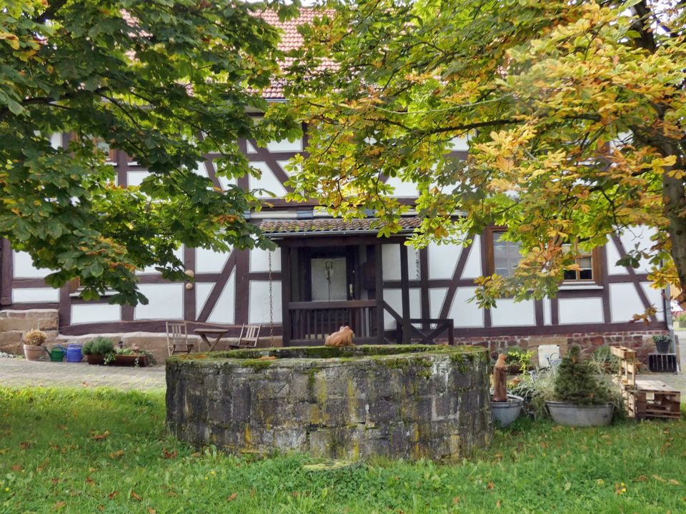 Ferienhaus Alte Waldschmiede in Knüllwald