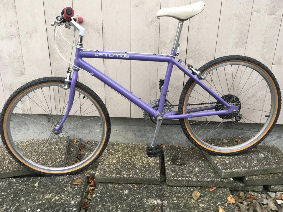 Cannondale SM600 MTB Retro Vintage aus 1987 in Bayern Sigmarszell Herrenfahrrad gebraucht kaufen kleinanzeigen
