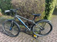 Bulls Fahrrad 27,5 Zoll 46cm Rahmen Berlin - Hellersdorf Vorschau