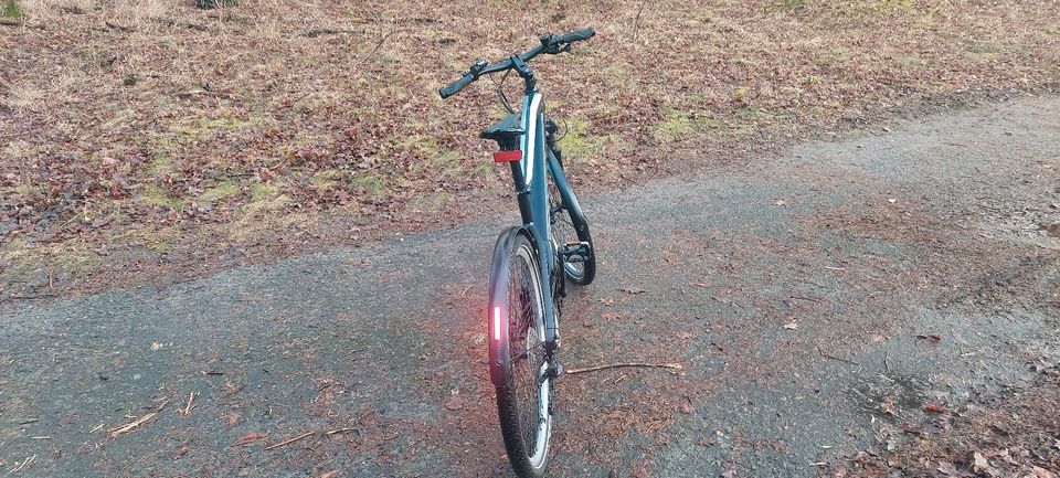 Bmw Active Hybrid E Bike in Potsdam