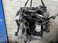 Motor Cjca CJC Audi A4 Avant 2.0 TDI DPF multitronic 105 KW 143 P Nordrhein-Westfalen - Gronau (Westfalen) Vorschau