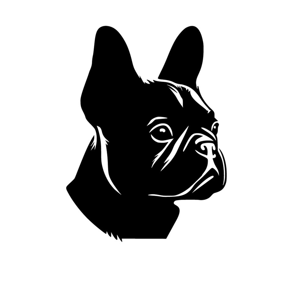 Auto Aufkleber | Französische Bulldogge | Wunschfarbe |  Sticker in Köln