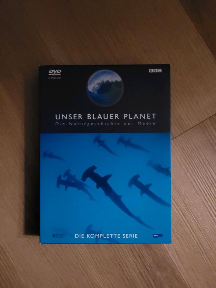 Unser blauer Planet in Vögelsen