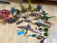 Schleich Dino Saurier Drachen Skelett Urzeit Mammut Dresden - Klotzsche Vorschau