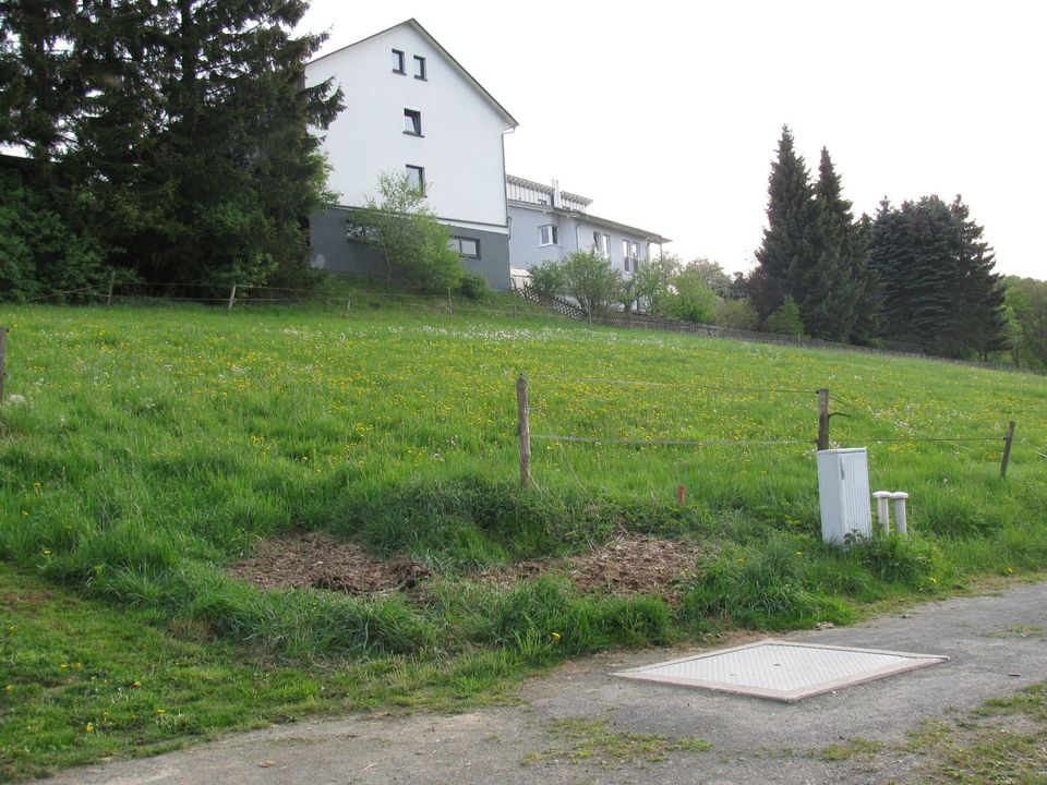 Großes Baugrundstück (1193m²) in Ortsrandlage (35236 Oberdieten) in Steffenberg