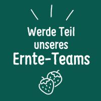 Werde Verkäufer (m/w/d) in unserer Erdbeersaison in Plön Schleswig-Holstein - Plön  Vorschau