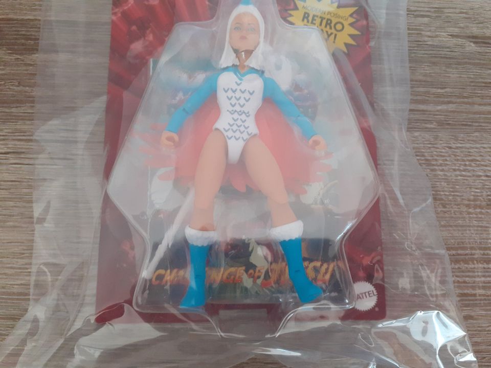 Masters of the Universe SORCERESS HDR91 US Collector Grade MotU in Bitburg