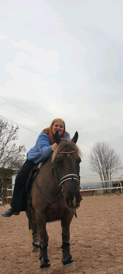 Nettes Freizeit Pferd abzugeben / Verfügung in Ludwigsburg