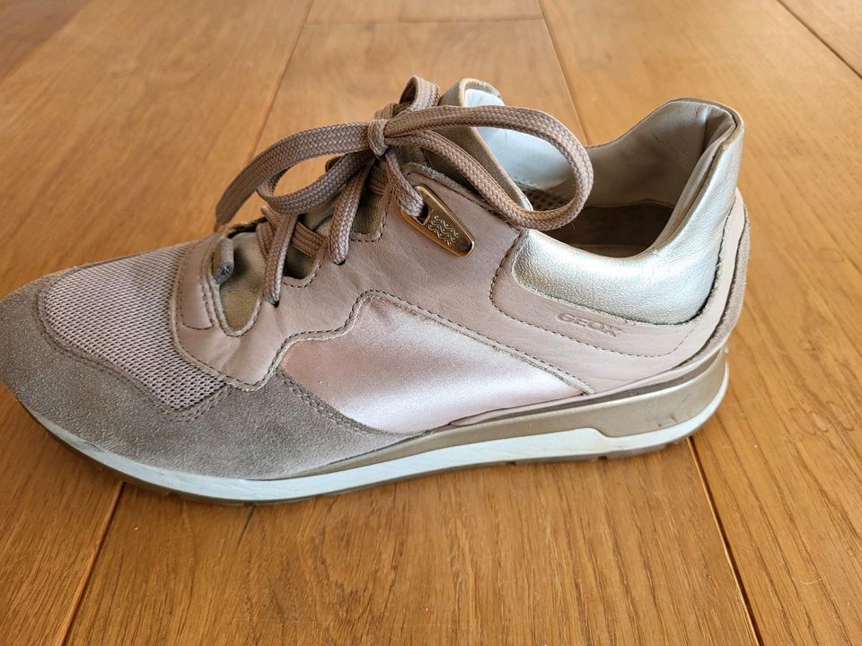 Sneakers Damen Geox Gr.38 Snickers Damenschuhe in Heiligenhaus