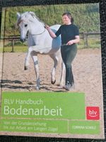 BLV Handbuch Bodenarbeit Corinna Scholz, neu Bayern - Aschaffenburg Vorschau