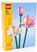Lego 40647 Lotusblumen ✅️NEU/OVP Nordrhein-Westfalen - Dinslaken Vorschau