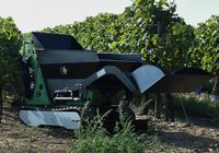 Dumper Kettendumper 9,5PS KOHLER 600KG vollhydr. Ladeschaufel Niedersachsen - Berne Vorschau