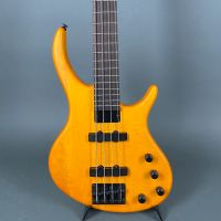 2016 Epiphone Tobias Tobi aktiv Bass TOP ZUSTAND im Flightcase Nordrhein-Westfalen - Herne Vorschau