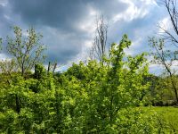 Kleines Gartenparadies gesucht Baden-Württemberg - Remshalden Vorschau