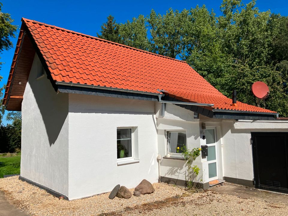 Gemütliches Ferienhaus Ferienwohnung in  Detmold FEWO in Detmold