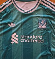Liverpool Trikot Premier League FC Liverpool Lützen - Lützen Dehlitz Vorschau