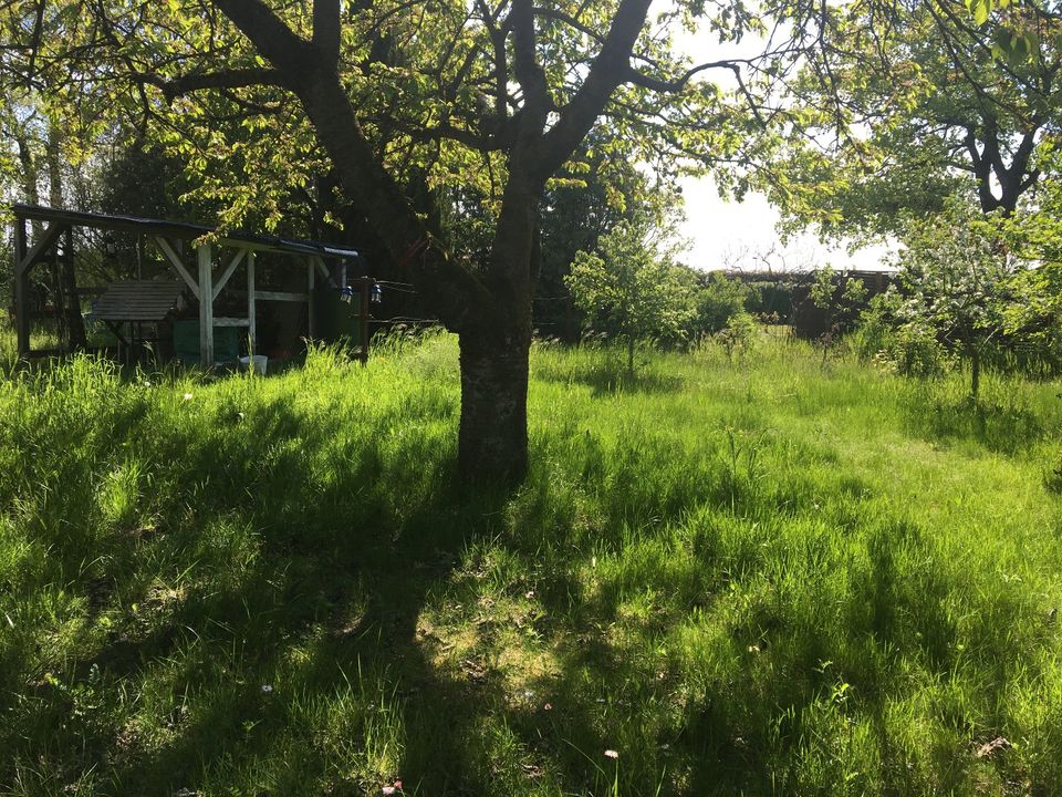 Garten in Seelow, 1000 m2 mit kl. Steinhaus zur Pacht in Berlin