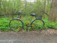 Retro Fahrrad Niedersachsen - Buchholz in der Nordheide Vorschau