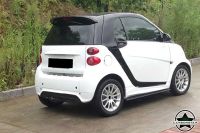 Cstar Carbon Gfk Seitenschweller für Smart 451 Fortwo 12 - LCI Nordrhein-Westfalen - Metelen Vorschau