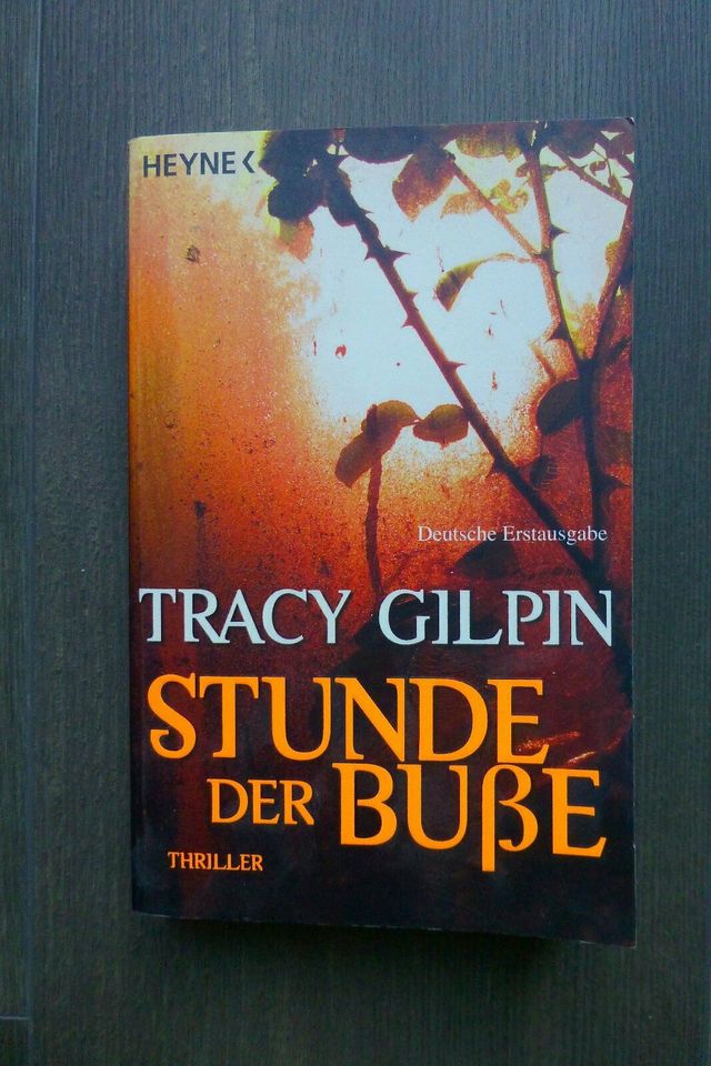 Krimi Thriller Kriminalroman Spannung (2) in Dresden