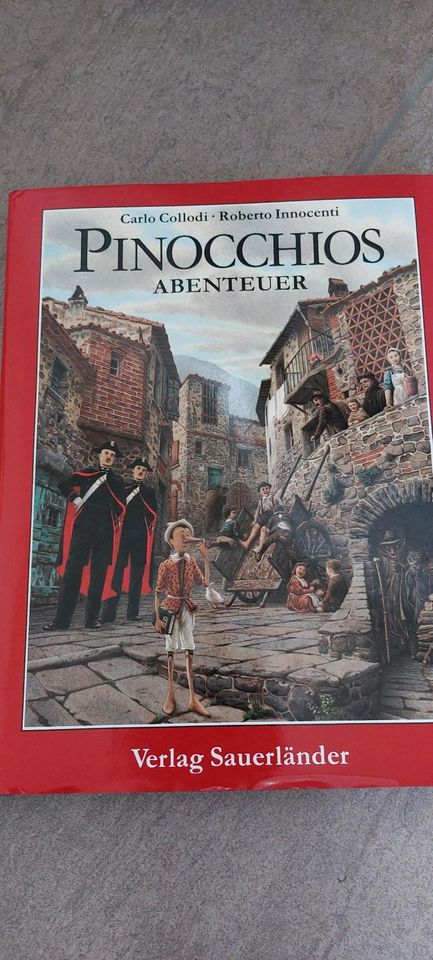 Pinocchio Buch in Flachslanden