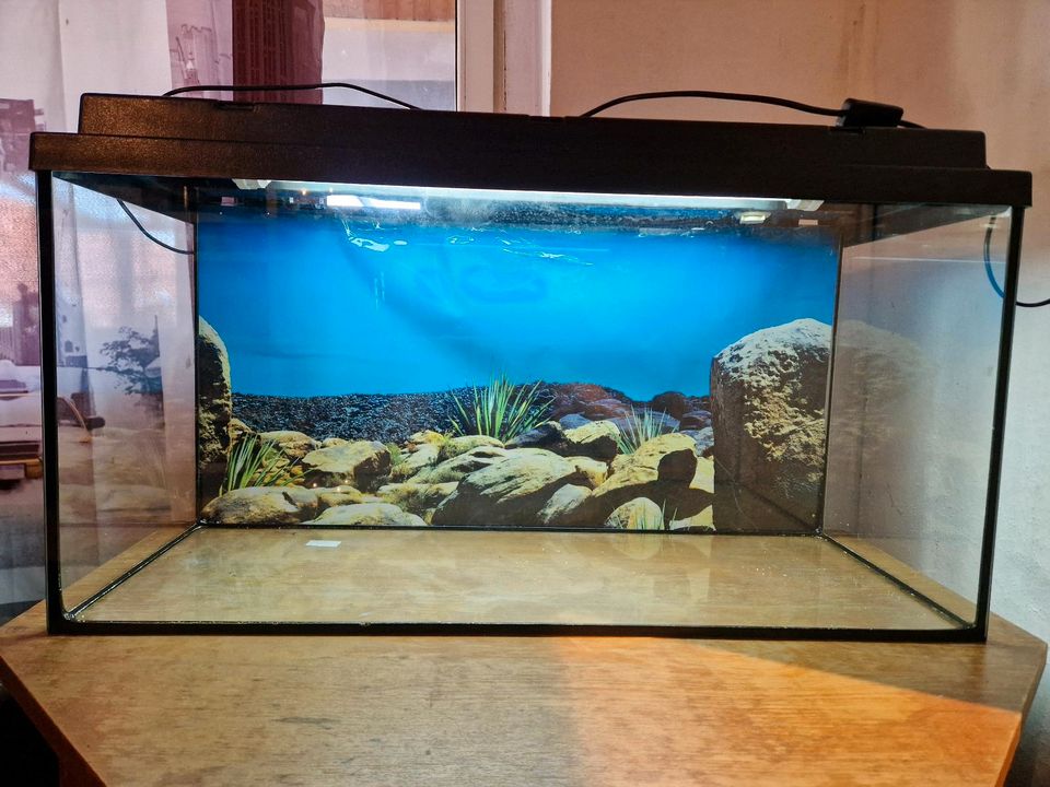 Zu verkaufen ist ein 96 l Aquarium! Nur selbstabholer!!! in Schmiedehausen