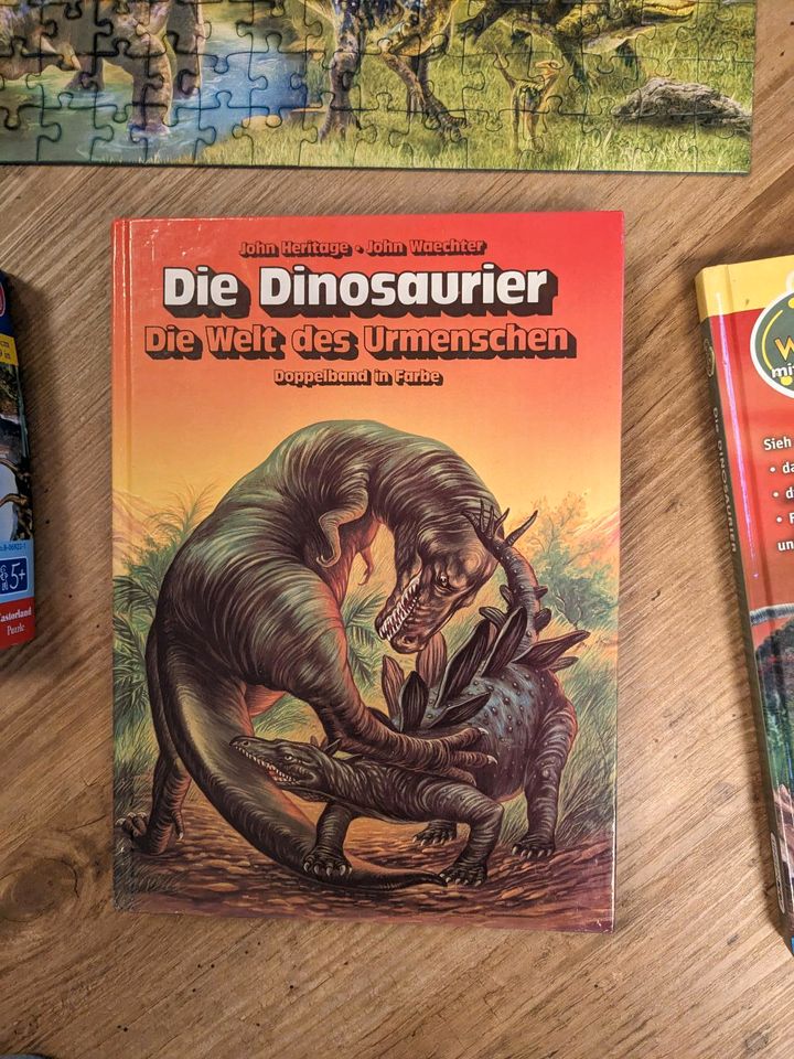 XXL Dinosaurier Paket Dinos Puzzle Bücher Plakate Kinder in Leonberg