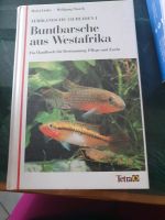 Buntbarsche aus Westafrika Buch Baden-Württemberg - Wiesloch Vorschau