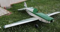 RC Flugzeug Großmodell eines Tiefdeckers 2,55m Spannweite Baden-Württemberg - Birkenfeld Vorschau