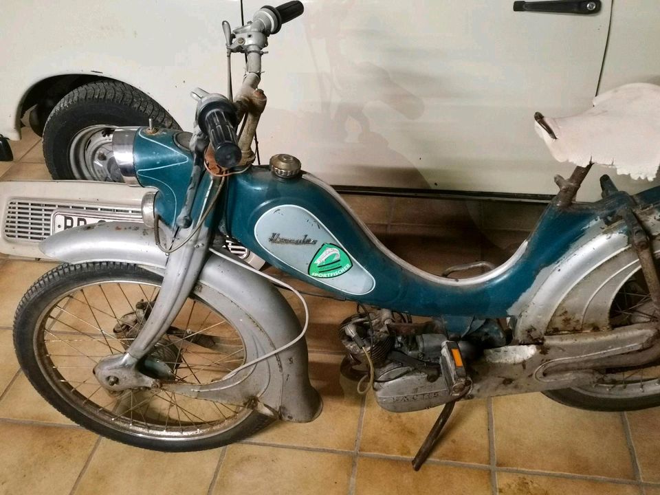 Hercules 217 Oldtimer Moped Bj 1957 Sachs in Dülmen