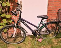 Fahrrad Greens Lilly 26 Zoll in Lilia Nordrhein-Westfalen - Greven Vorschau